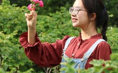 办公室做爰A片视频